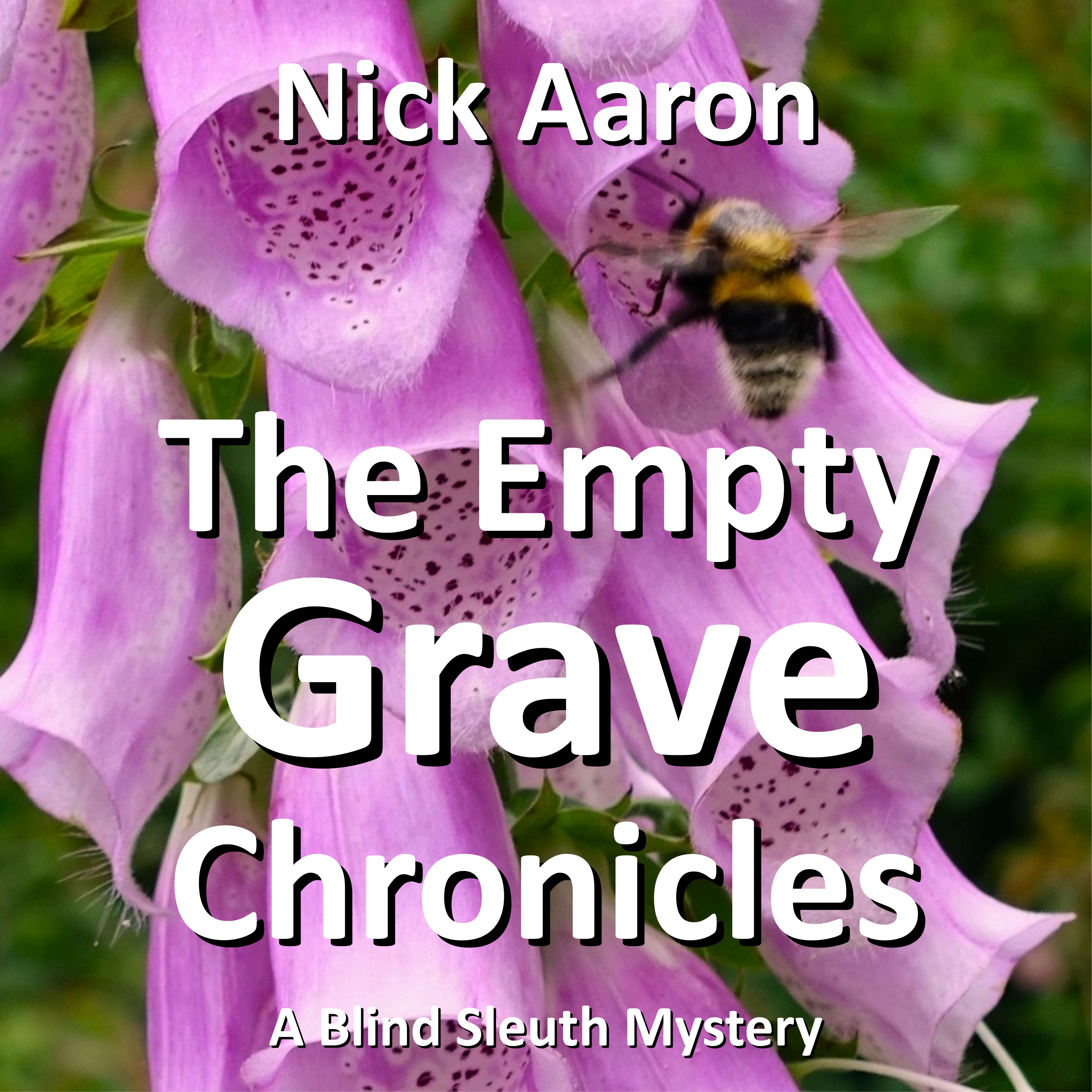 Audiobook cover The Empty Grave Chronicles