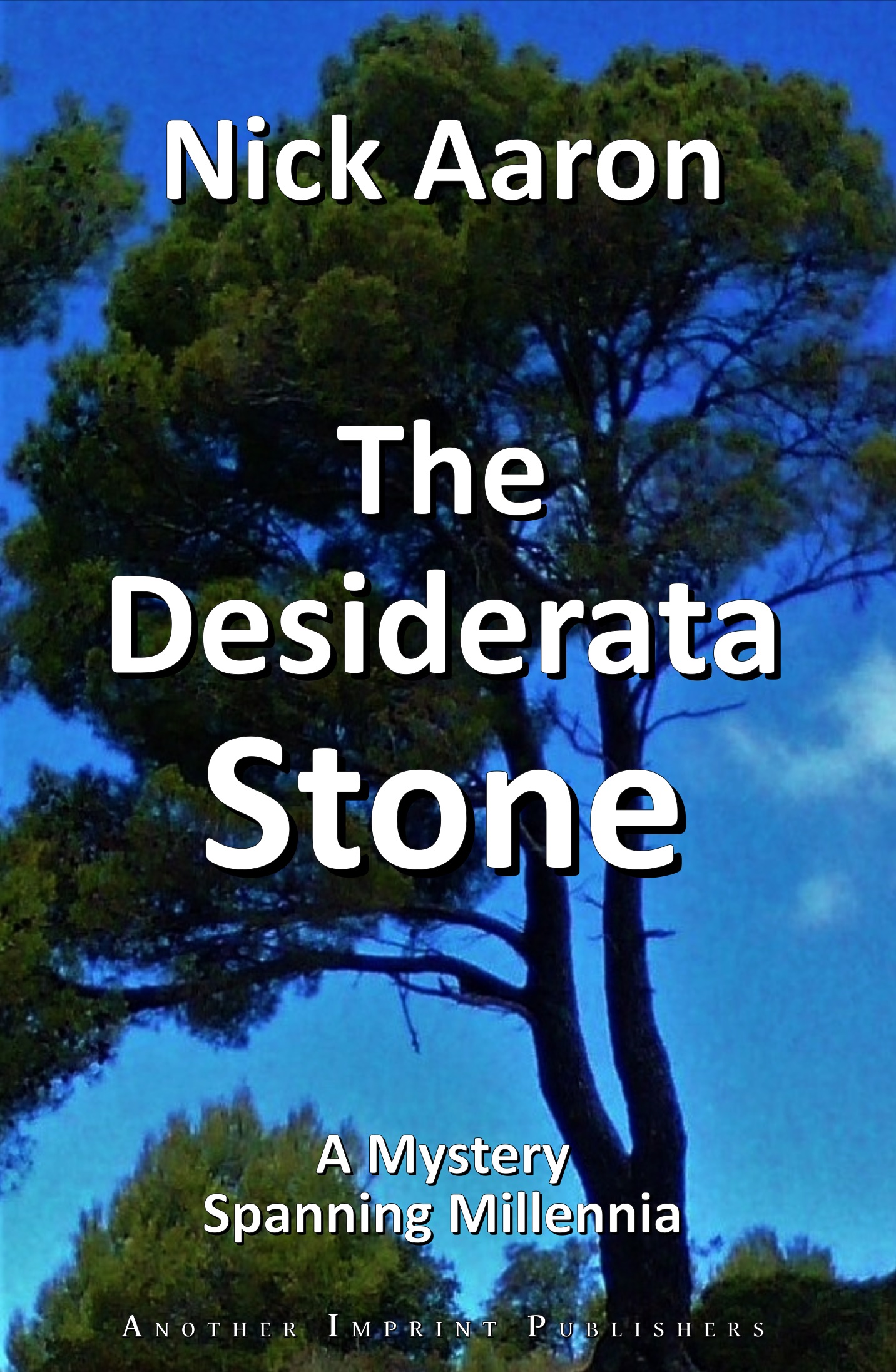 Book cover Desiderata Stone