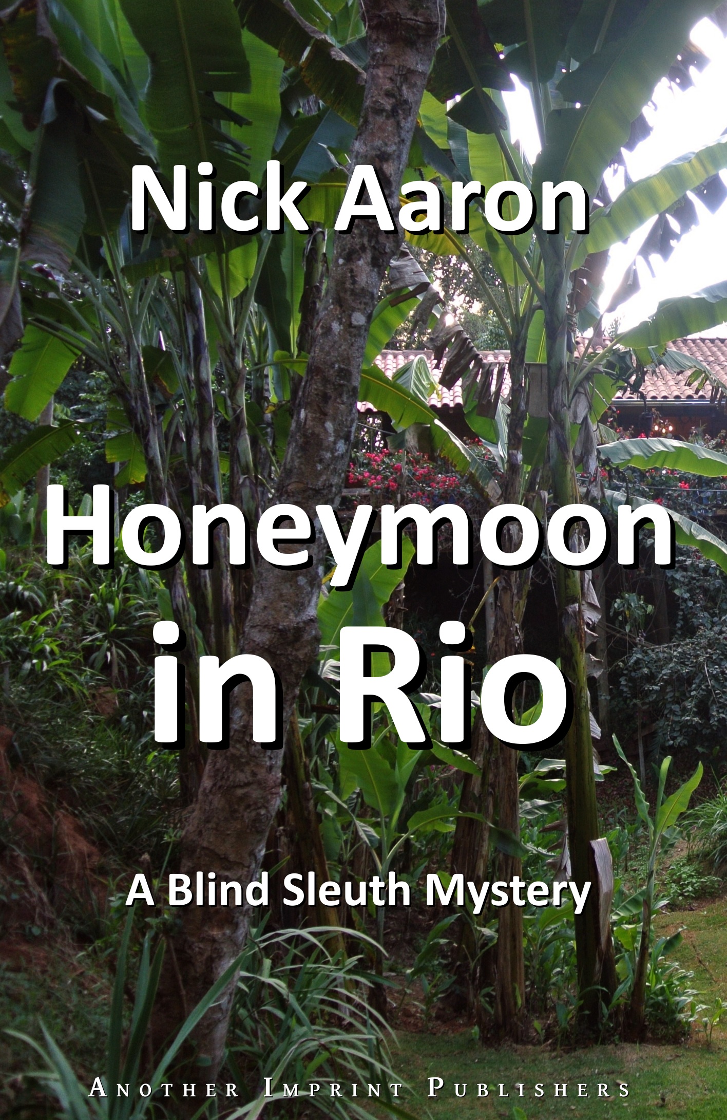 Book cover Honeymoon in Rio