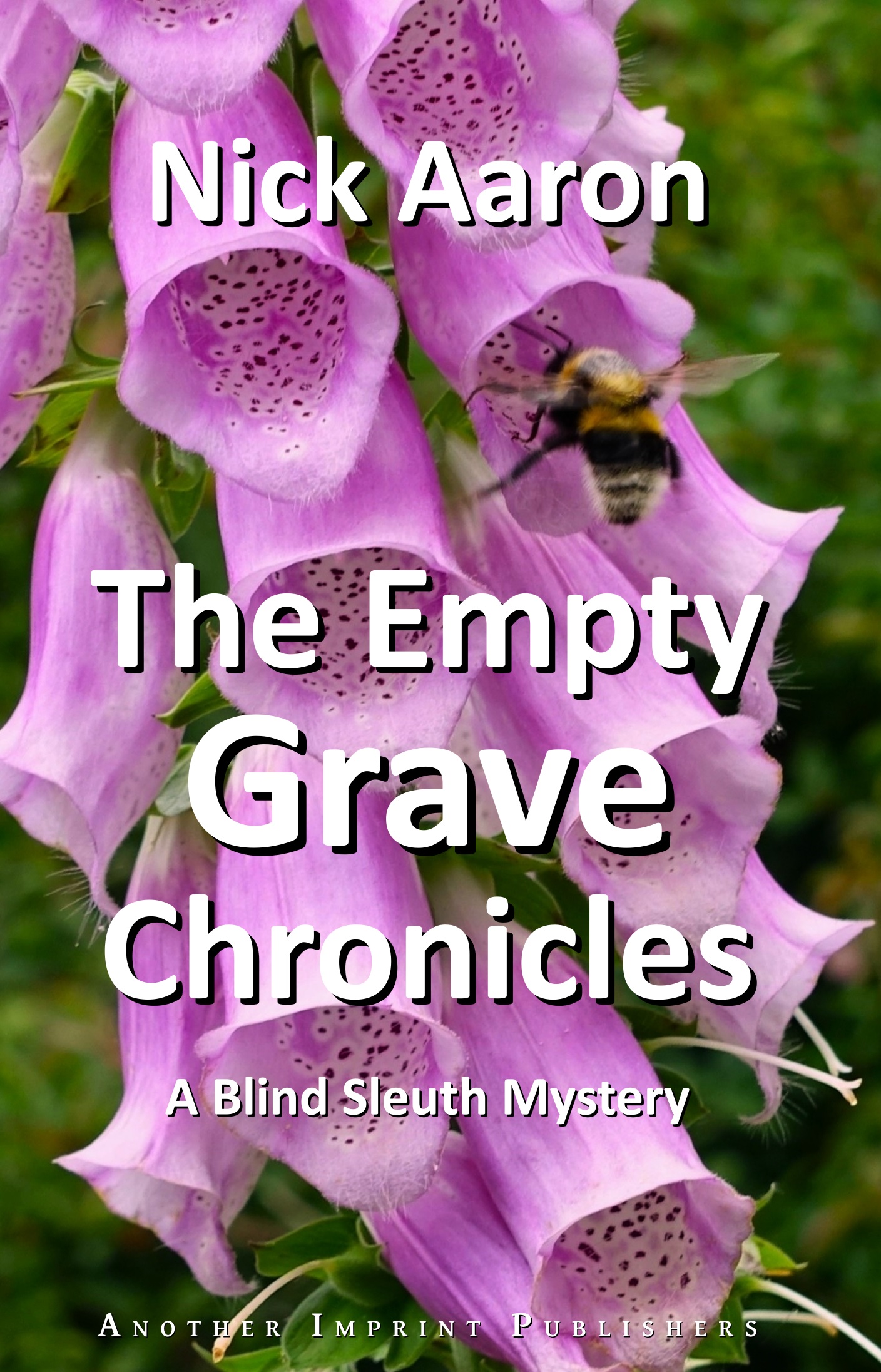 Book cover The Empty Grave Chronicles